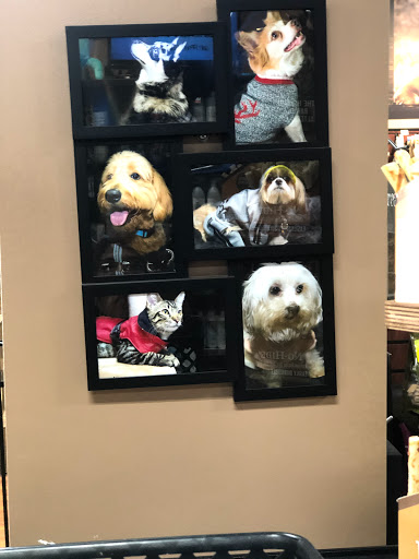 Pet Supply Store «Pet Valu», reviews and photos, 150 Main St, Lodi, NJ 07644, USA