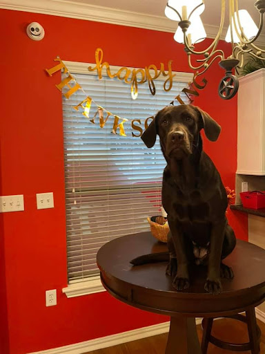 Insurance Agency «State Farm: Matt Springer», reviews and photos