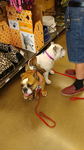 Pet Supply Store «Pet Supplies Plus», reviews and photos, 1237 Concord Pkwy N, Concord, NC 28025, USA