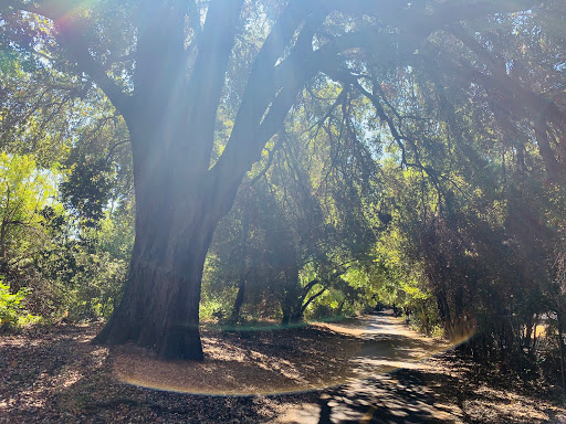 Coyote Creek Trail, San Jose, CA