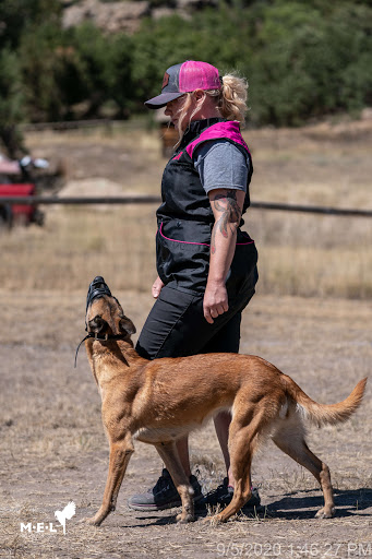Pikes Peak K9 Camp