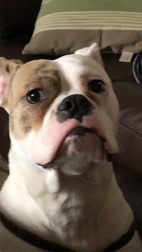 Pet Supply Store «Pets R Inn», reviews and photos, 3902 13th Ave S #3701, Fargo, ND 58103, USA