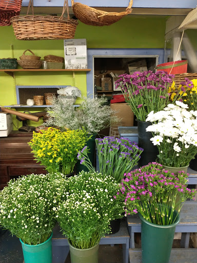 Florist «Tappan Zee Florist», reviews and photos, 176 Main St, Nyack, NY 10960, USA