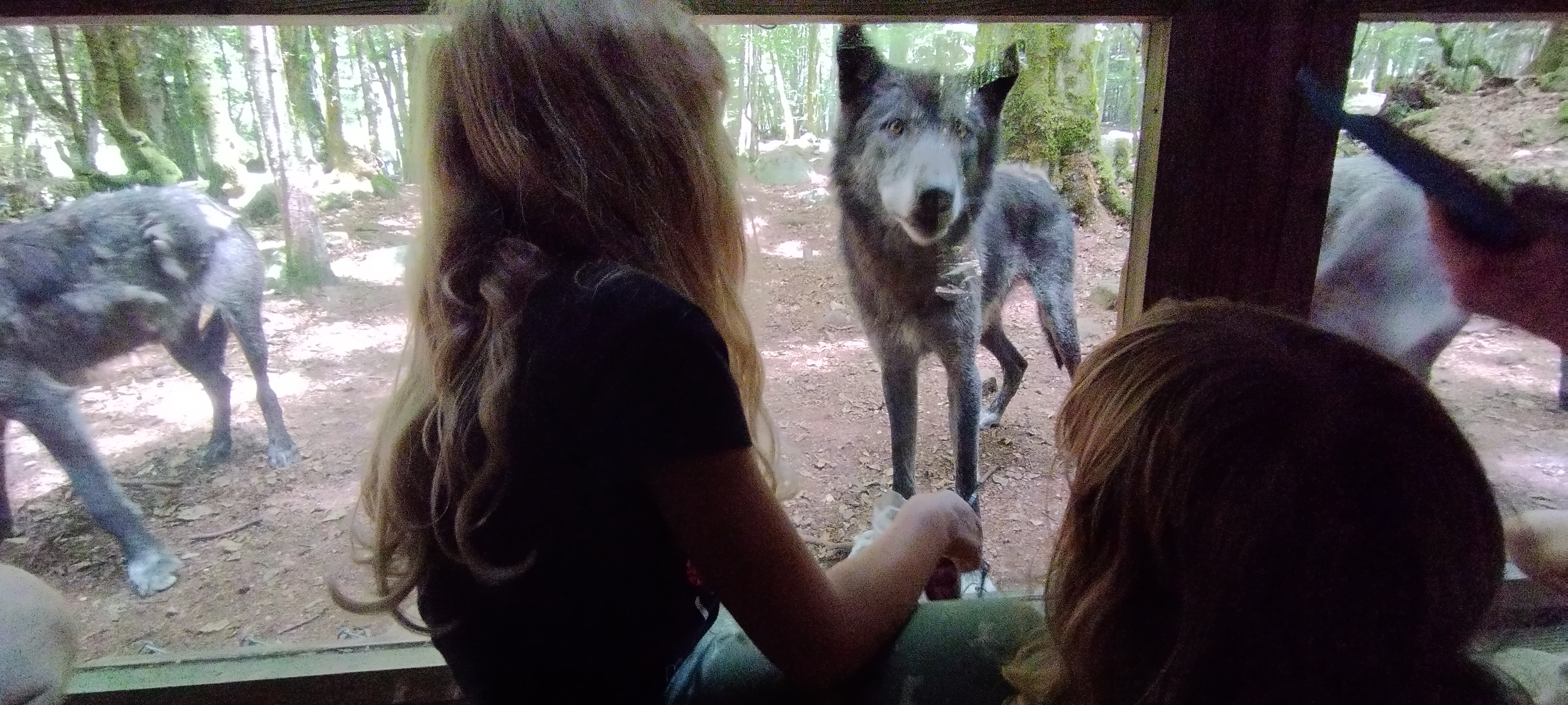 Photo n° 9 de l'avis de Fabrice.e fait le 19/08/2023 à 21:56