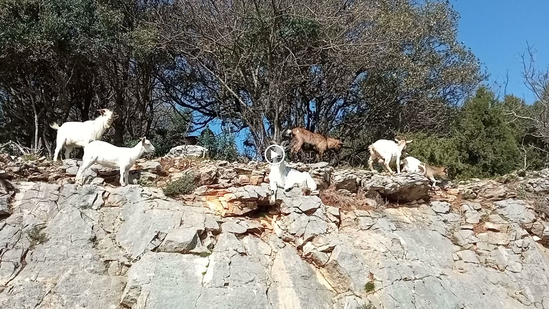 Photo n° 1 de l'avis de Raoul. fait le 06/03/2024 à 09:15