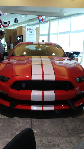 Ford Dealer «Shamaley Ford», reviews and photos, 11301 Gateway Blvd W, El Paso, TX 79936, USA