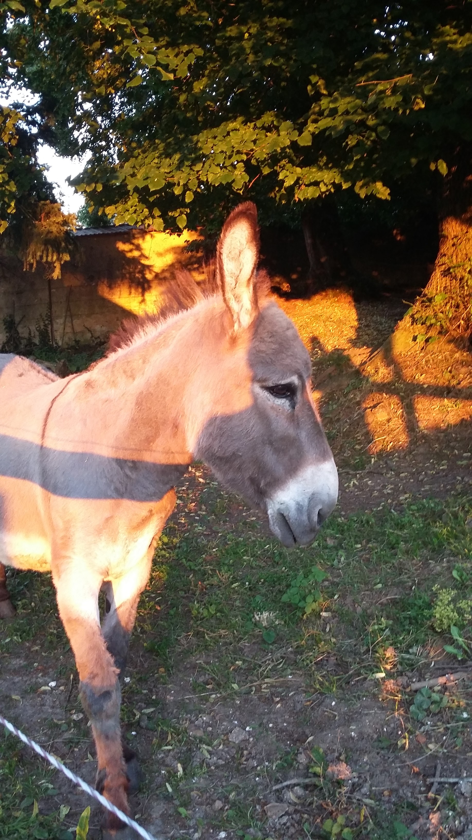 Photo n° 1 de l'avis de S..e fait le 12/07/2021 à 19:40