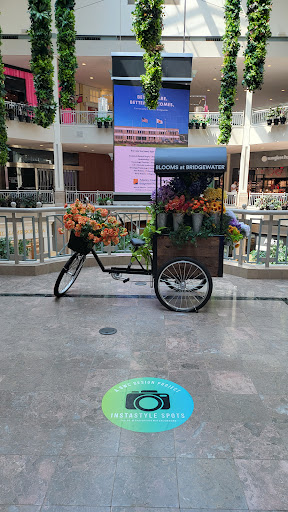 Clothing Store «Abercrombie & Fitch», reviews and photos, 400 Commons Way #244, Bridgewater, NJ 08807, USA