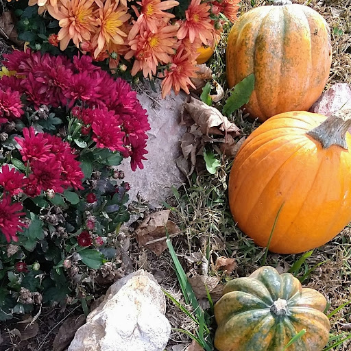 Thrift Store «Second Blessing Thrift Store Inc.», reviews and photos, 2323 Central Ave, Wichita, KS 67214, USA