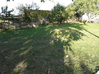 Animaël à Saint-Broladre