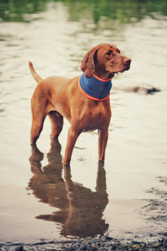 State Park «Cochituate State Park», reviews and photos, 43 Commonwealth Rd, Natick, MA 01760, USA