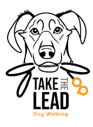 Take the Lead Dog Walking