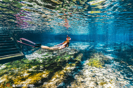 ASD Scuba Diving School image