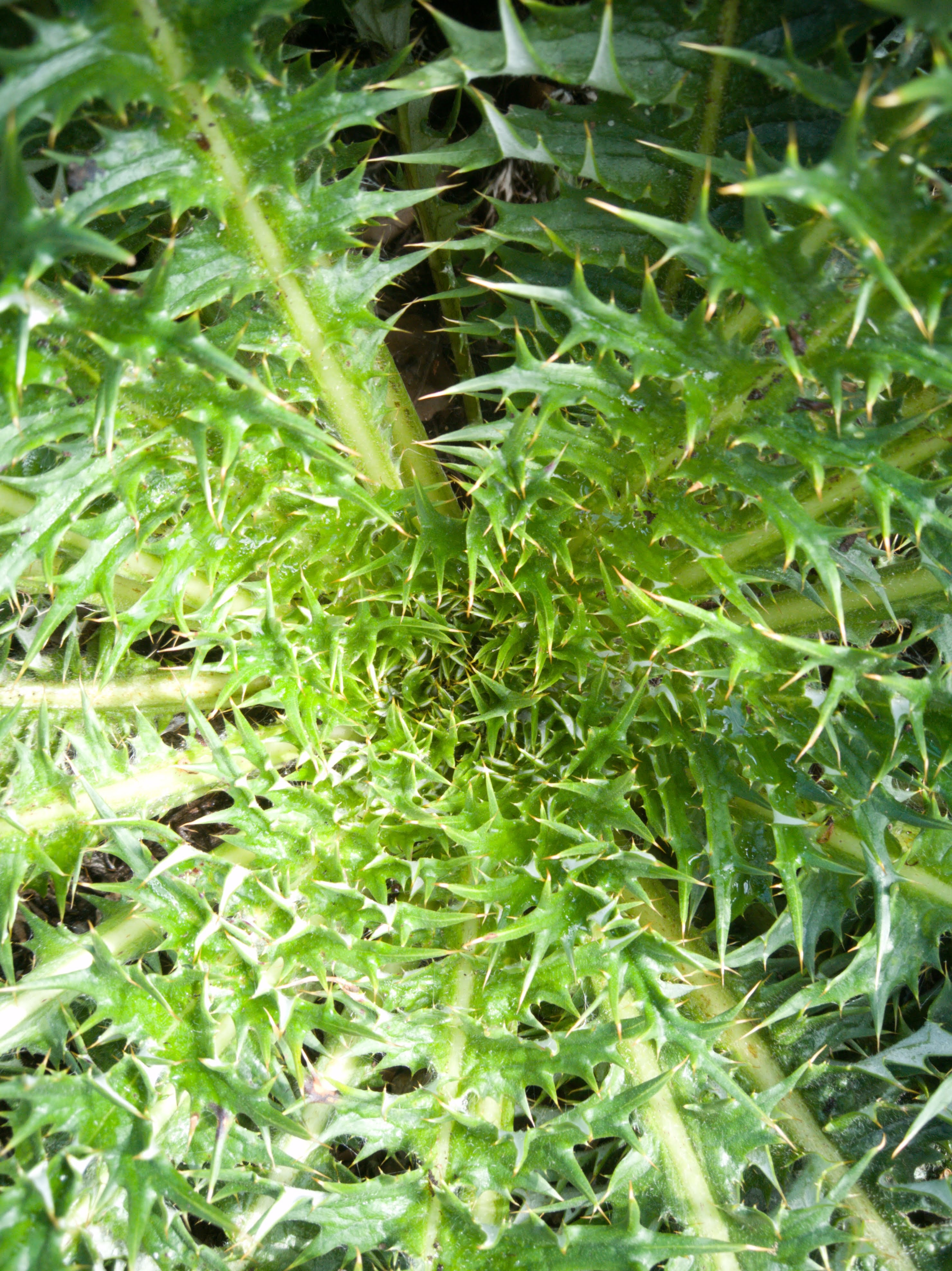 Photo n° 1 de l'avis de Matthieu.i fait le 28/08/2019 à 09:48