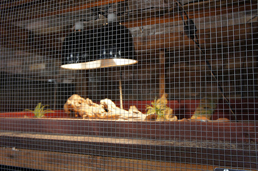 Car Dealer «Northstar Auto Group», reviews and photos, 9174 North Fwy, Houston, TX 77037, USA