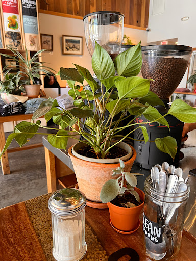 Spearhead Coffee image