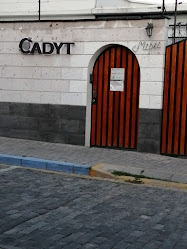 CADYT SUR