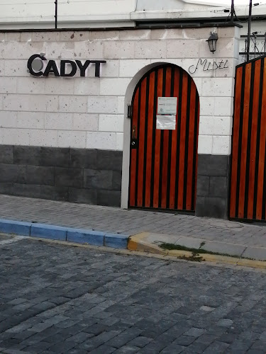 CADYT SUR