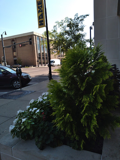 Bank «Central Bank», reviews and photos