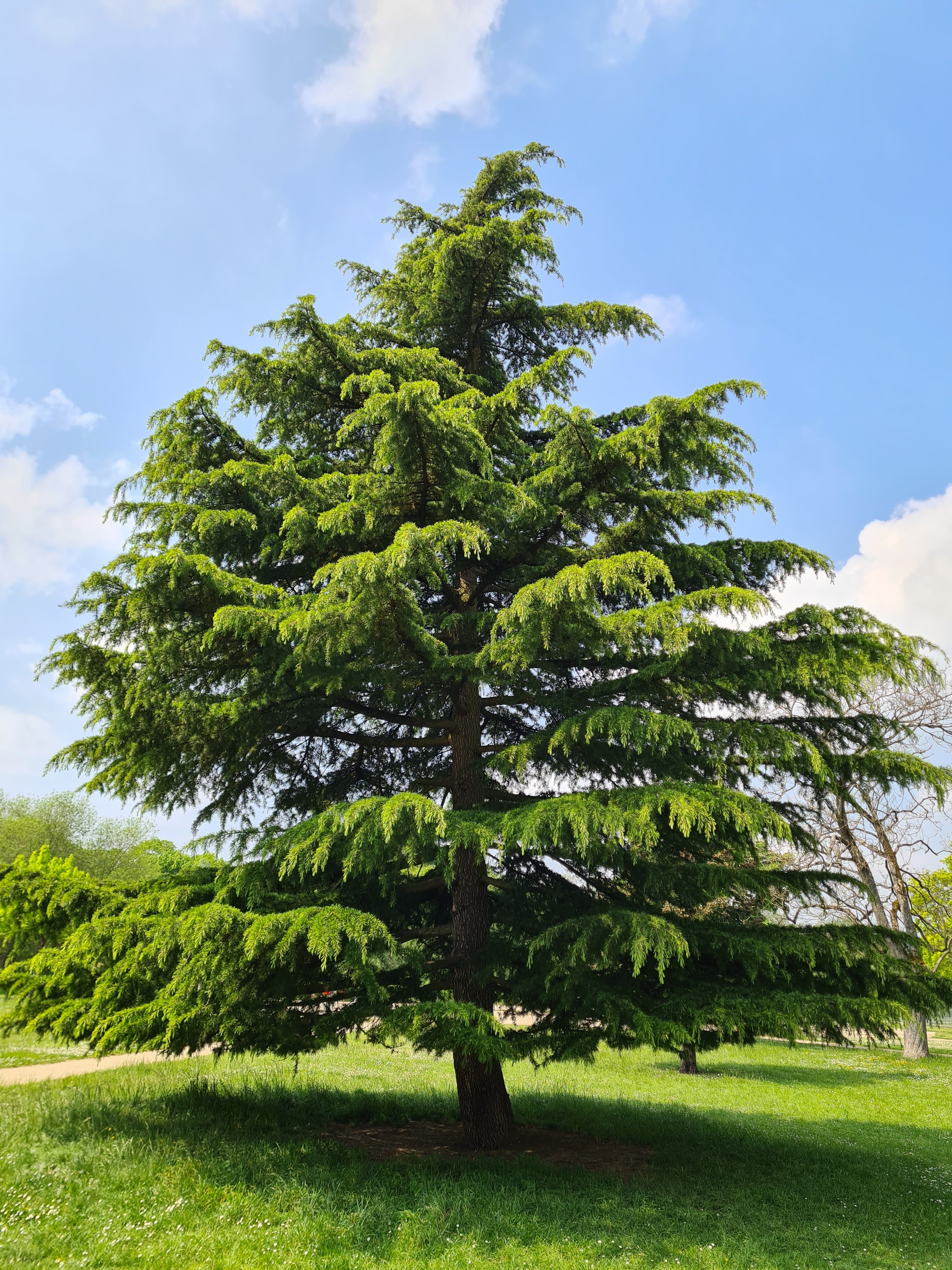 Photo n° 1 de l'avis de Pascale.a fait le 14/05/2022 à 20:10