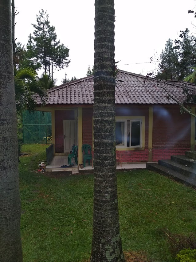 Villa Ps, Sakura Place