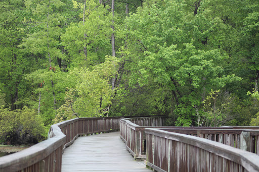 Public Golf Course «Newport News Golf Club at Deer Run», reviews and photos, 901 Clubhouse Way, Newport News, VA 23608, USA