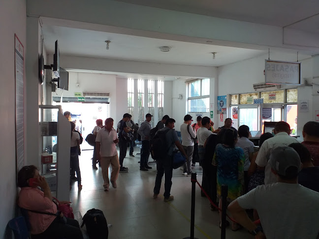 Comentarios y opiniones de Empresa De Transporte Linea Piura