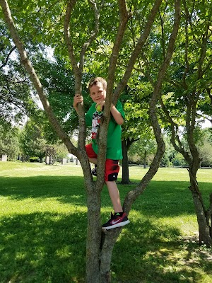 WimanMiss Patties Park - photo 2