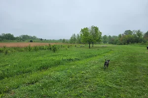 Duck Farm Forest Preserve image