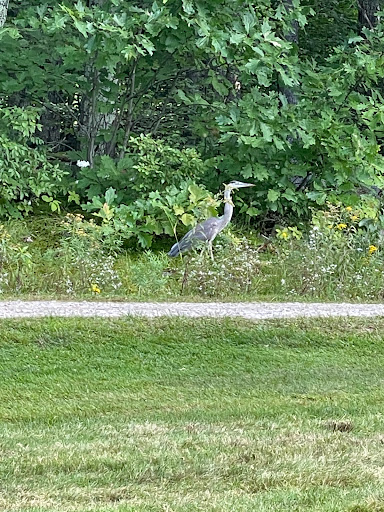 Country Club «Windham Country Club», reviews and photos, 1 Country Club Rd, Windham, NH 03087, USA