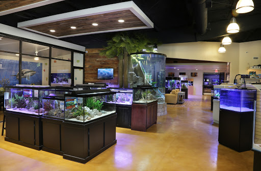 Pet Supply Store «Fish Gallery», reviews and photos, 26002 I-45, Spring, TX 77396, USA