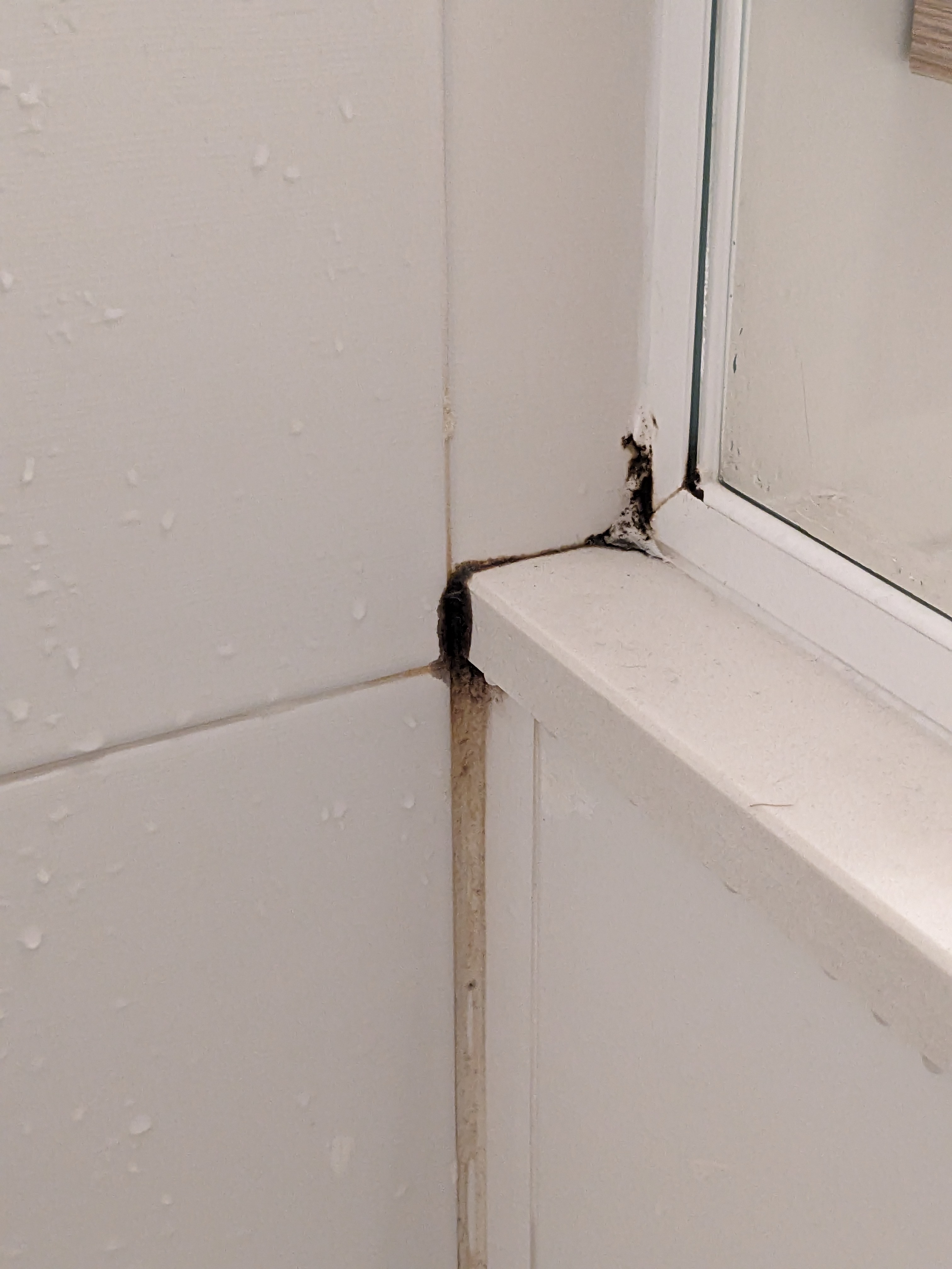 Photo n° 2 de l'avis de Philipp.o fait le 10/09/2023 à 18:33
