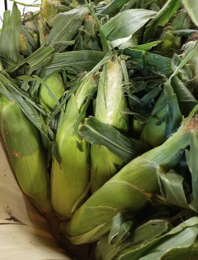 Orchard «Curtis Orchard & Pumpkin Patch», reviews and photos, 3902 S Duncan Rd, Champaign, IL 61822, USA