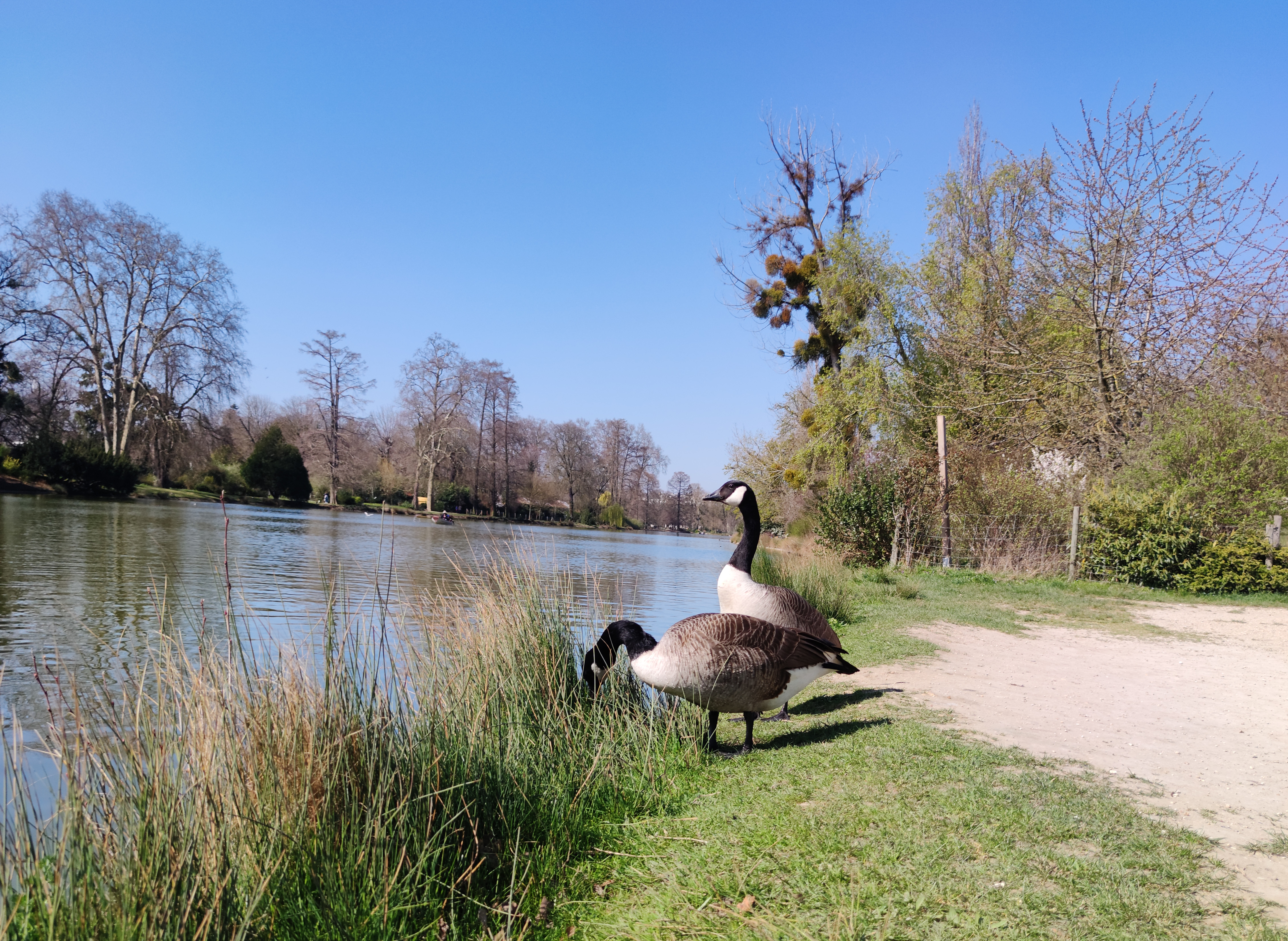 Photo n° 13 de l'avis de Javier.l fait le 20/03/2022 à 12:48