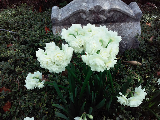 Cemetery «Oakland Cemetery», reviews and photos, 248 Oakland Ave SE, Atlanta, GA 30312, USA