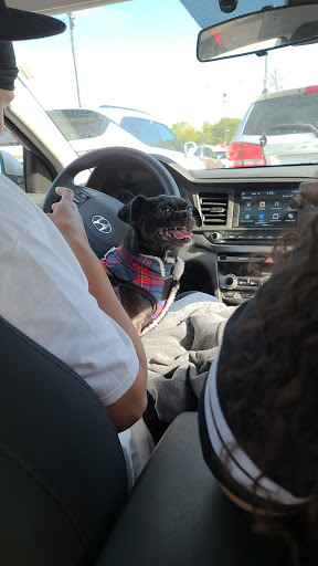 Pet Supply Store «Petco Animal Supplies», reviews and photos, 4820 South Baldwin Road #3B, Orion Township, MI 48359, USA