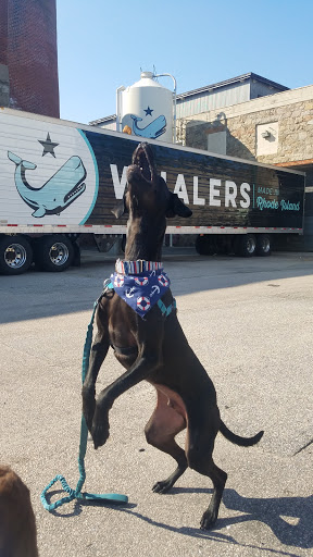 Brewery «Whalers Brewing Company», reviews and photos, 1174 Kingstown Rd, Wakefield, RI 02879, USA