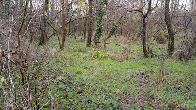Site du Cros à Pins-Justaret