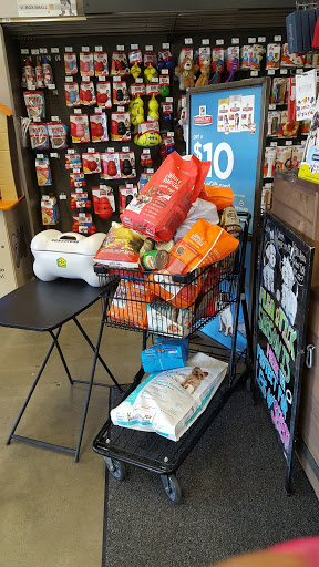 Pet Supply Store «Petco Animal Supplies», reviews and photos, 12845 Braemar Village Plaza, Bristow, VA 20136, USA