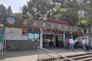 Xitou Nature Education Area Ticketing Center No. 2 image