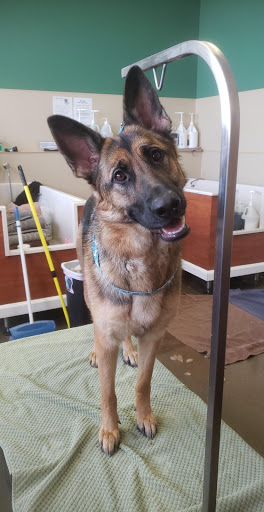 Pet Supply Store «Pets Earth», reviews and photos, 8410 S 73rd Plaza, Papillion, NE 68046, USA