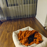 Photo n°2 de l'avis de fhptransportes.h fait le 27/01/2024 à 13:29 sur le  Hotel Tivoli Coimbra à Coimbra