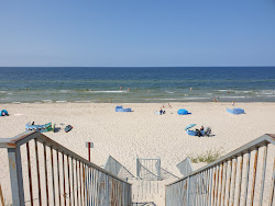 Mrzezynska Beach'in fotoğrafı vahşi alan