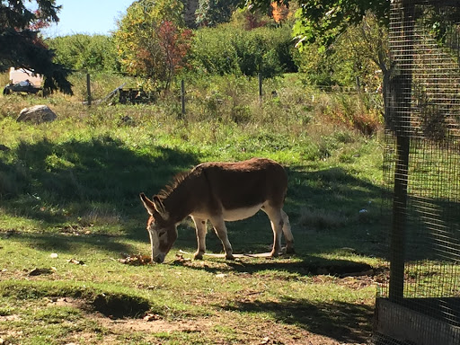 Farm «Russell Orchards», reviews and photos, 143 Argilla Rd, Ipswich, MA 01938, USA