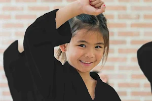 Karate Fachsportschulen Sascha de Vries image
