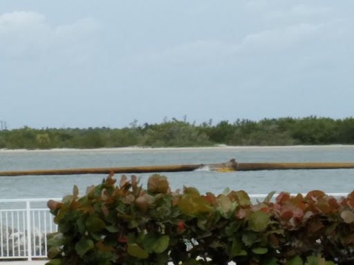 Aquarium «St. Lucie County Aquarium», reviews and photos, 420 Seaway Dr, Fort Pierce, FL 34949, USA