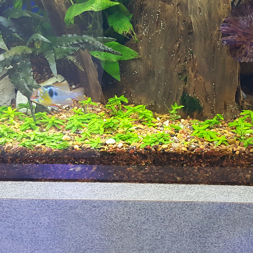 Tropical Fish Store «Marine Warehouse Aquarium», reviews and photos