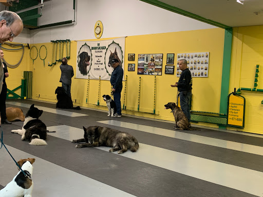Centre Sportif Canin de Quebec