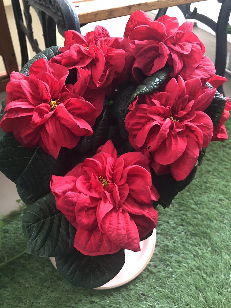 岡村生花店 大阪府八尾市北本町 花屋 グルコミ