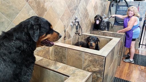 Pet Supply Store «Pet Valu», reviews and photos, 3437 Center Rd, Brunswick, OH 44212, USA